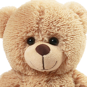 teddy bear brown