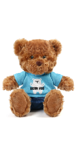 teddy bear with clothes